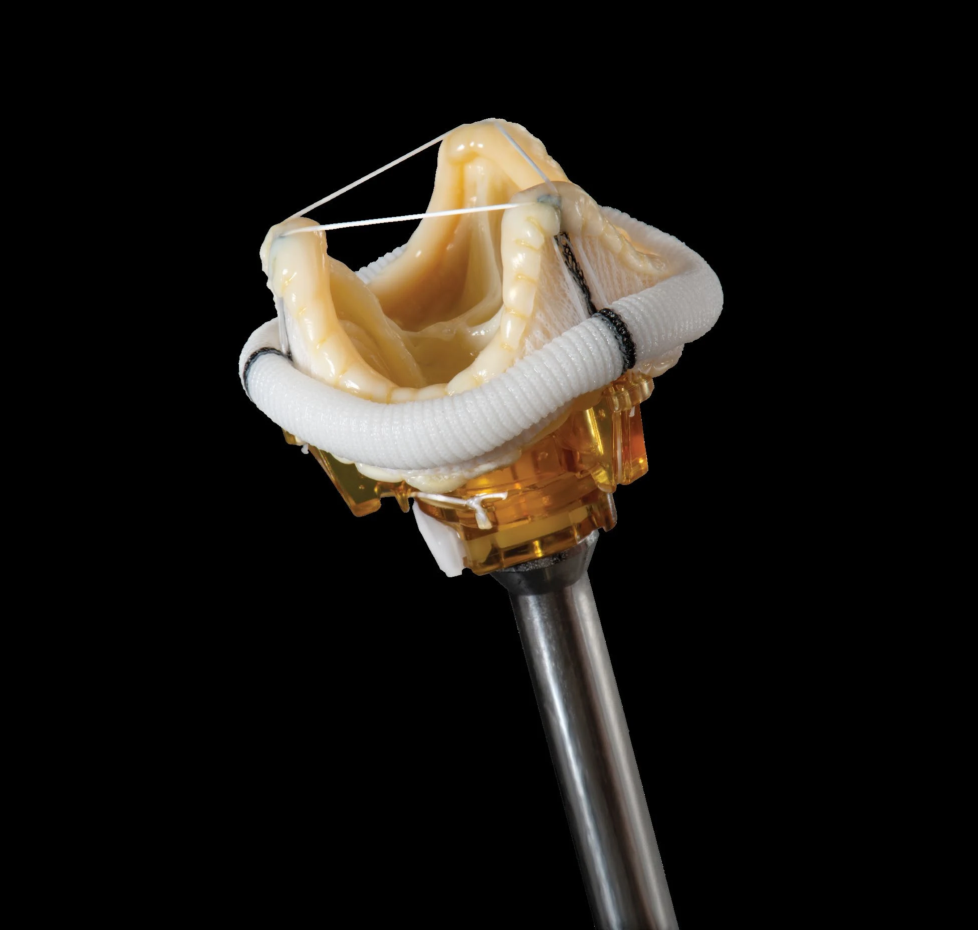 Epic™ Mitral Stented Tissue Valve mounted on its ratcheting holder — official Abbott Epic™ platform brochure photography
