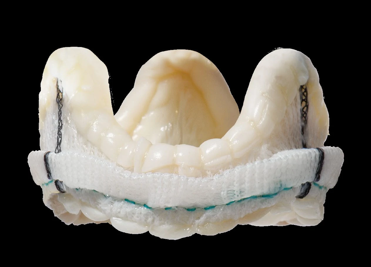 Epic™ Mitral Stented Tissue Valve — official Abbott Epic™ platform brochure photography