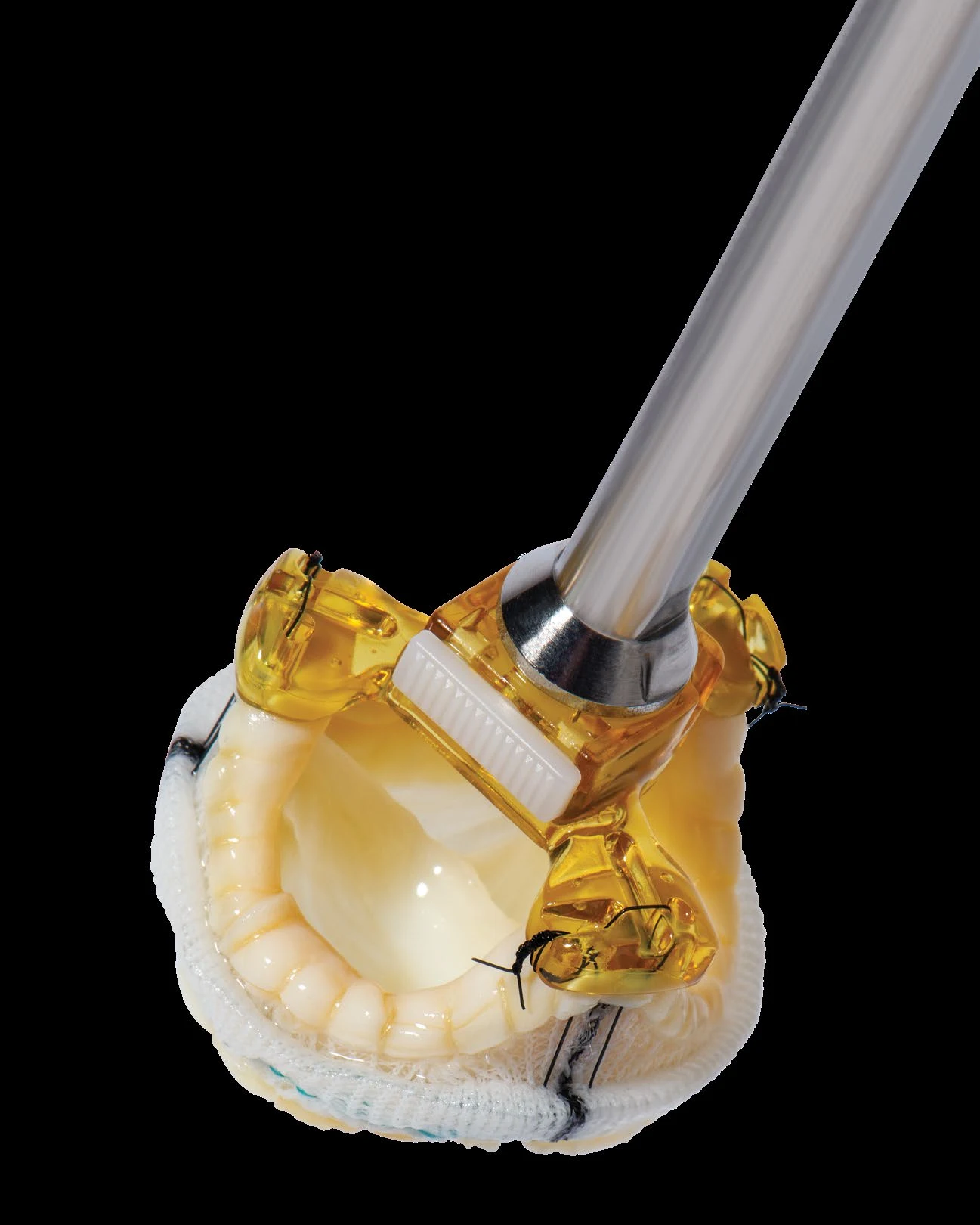 Epic™ Supra Aortic Stented Tissue Valve mounted on its holder — official Abbott Epic™ platform brochure photography