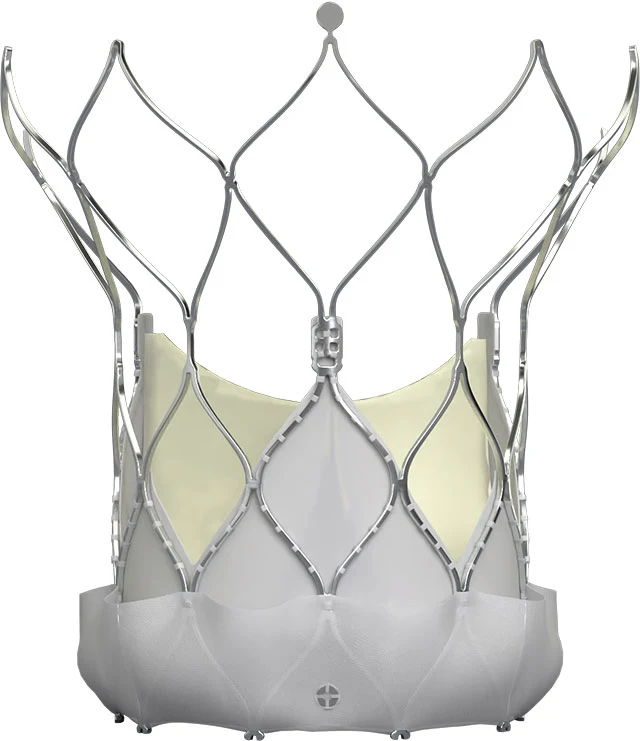 Navitor™ (TAVI system)