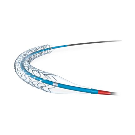 Drug Eluting Stents
